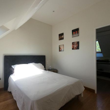 Chateau Des Nouies Villa แซลส์-ซูร์-แชร์ ภายนอก รูปภาพ