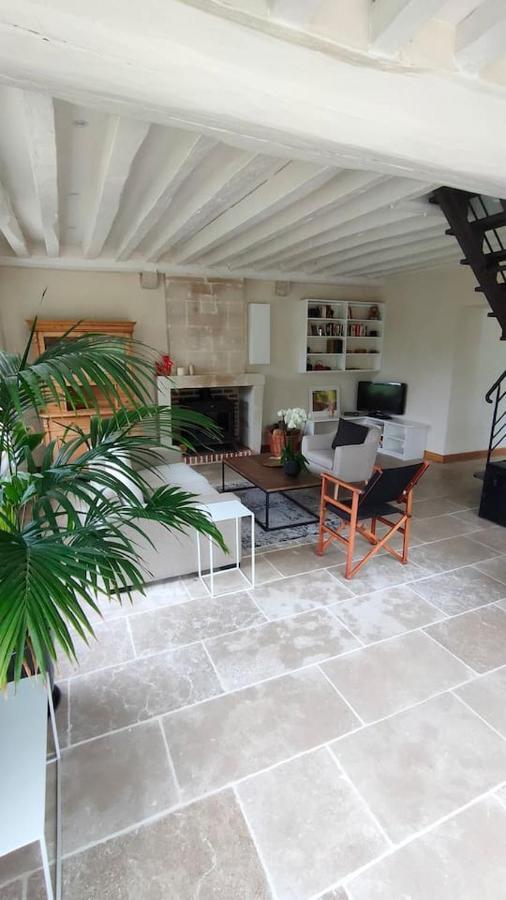 Chateau Des Nouies Villa แซลส์-ซูร์-แชร์ ภายนอก รูปภาพ