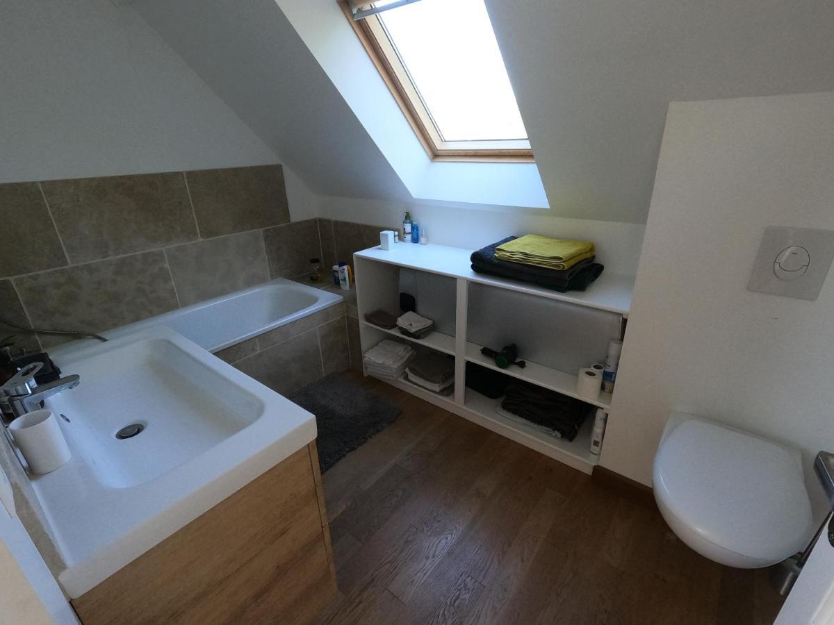Chateau Des Nouies Villa แซลส์-ซูร์-แชร์ ภายนอก รูปภาพ